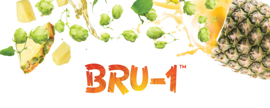 BRU-1™ US Hops - Image 5