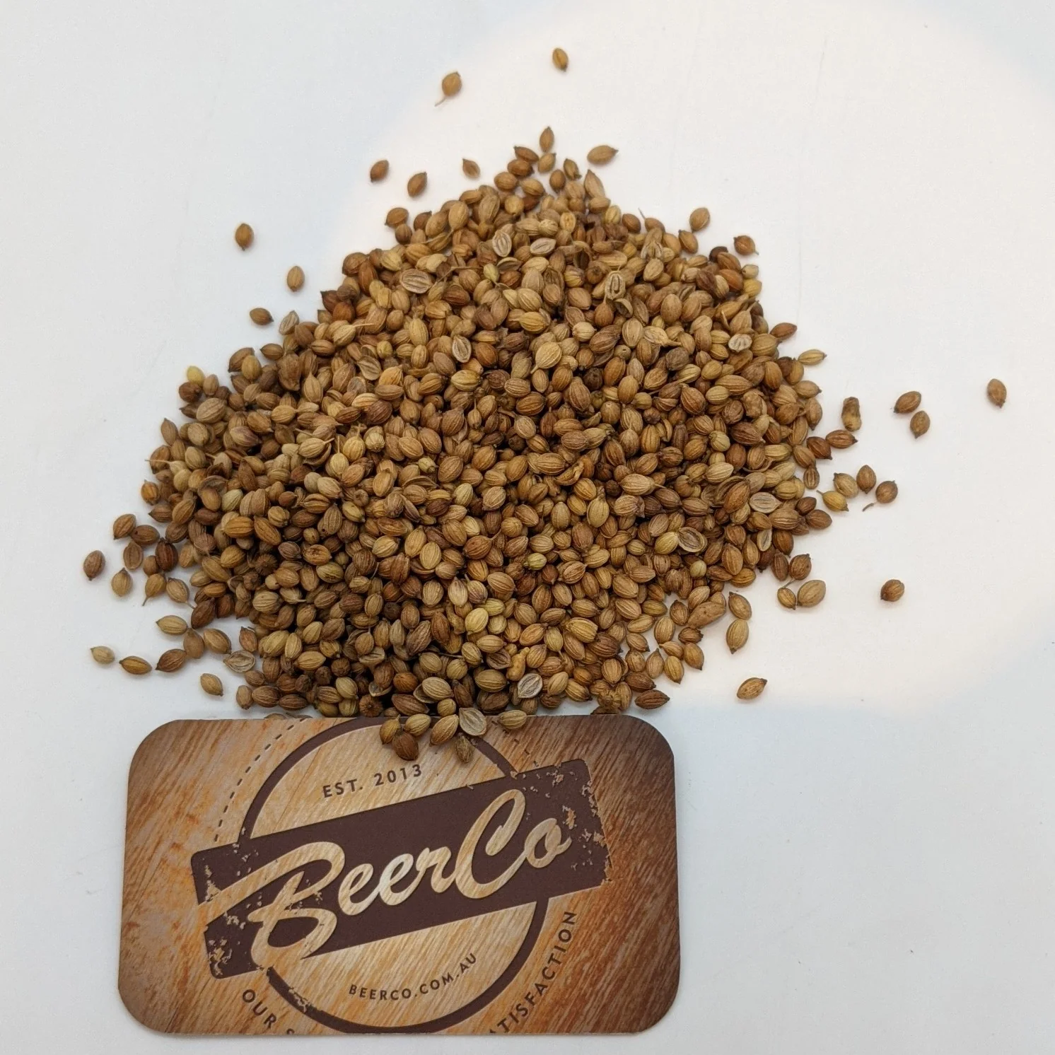 Coriander Seeds Whole | Coriandrum Sativum - Image 2