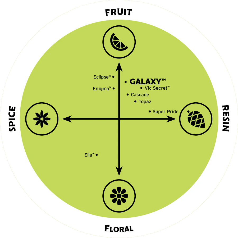 Galaxy® AU Hops - Image 7