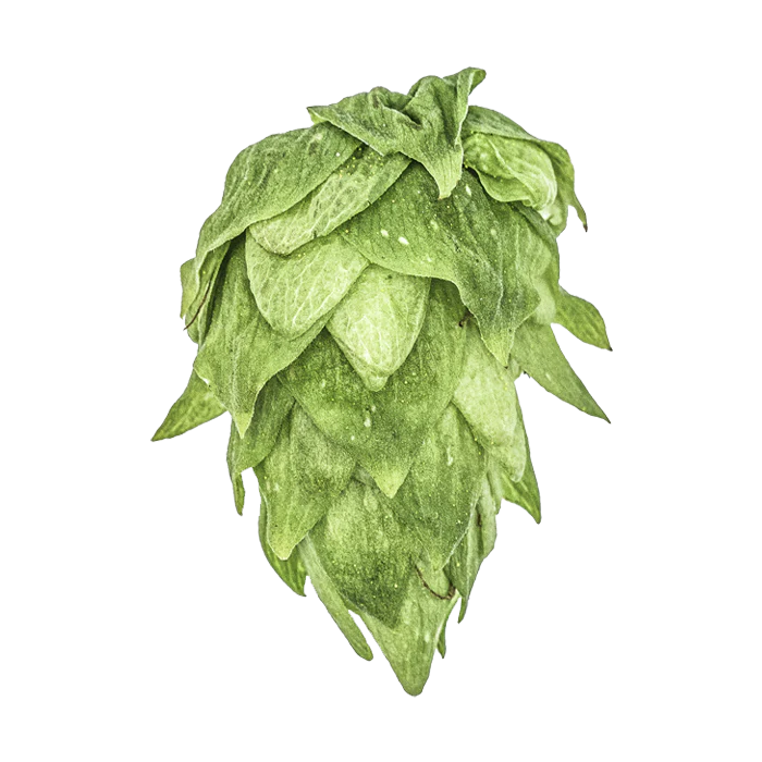 Cluster US Hops - Image 6