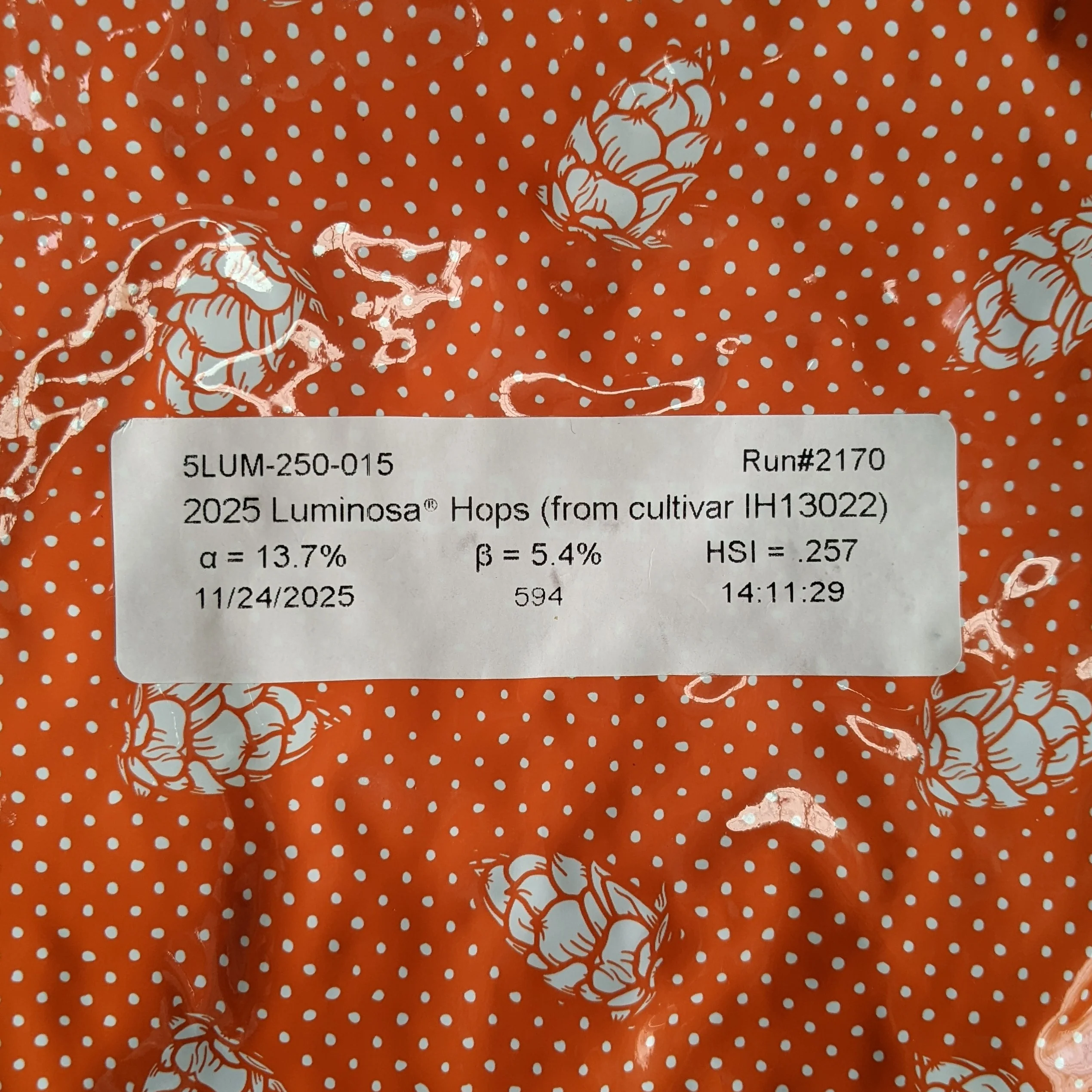 Luminosa® US Hops - Image 5