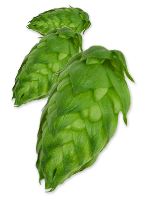 Magnum EU Hops - Image 6
