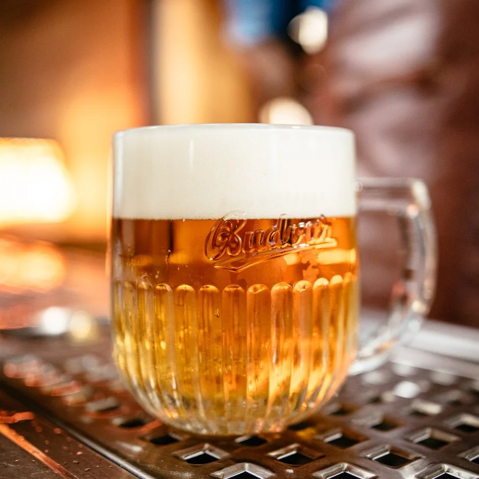 Pulsar | CZNZ Pilsner | BeerCo All Grain Brewers Recipe Kit - Image 2