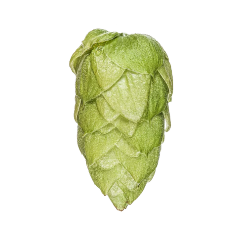 Riwaka NZ Hops - Image 6