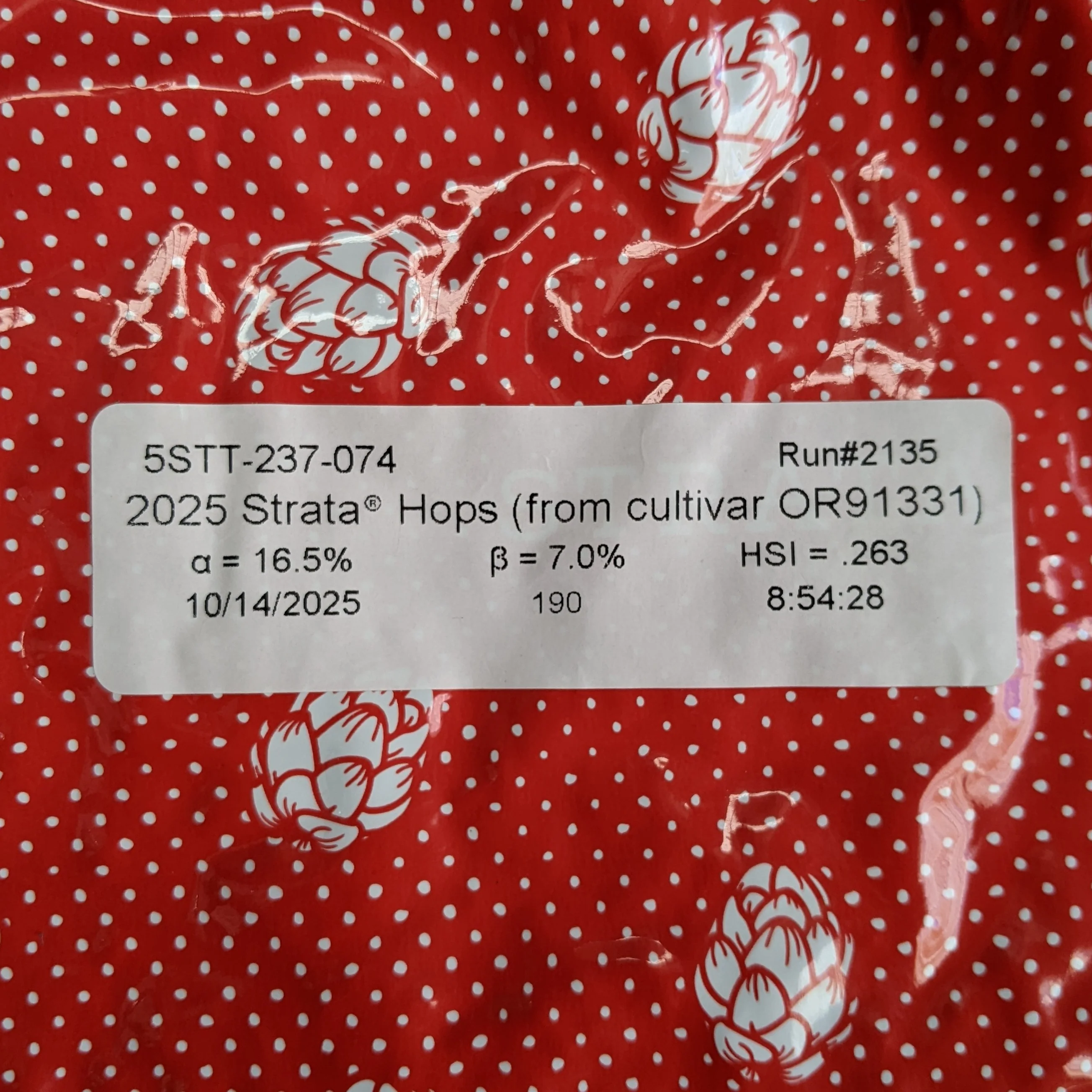 Strata® OR91331 US Hops - Image 5