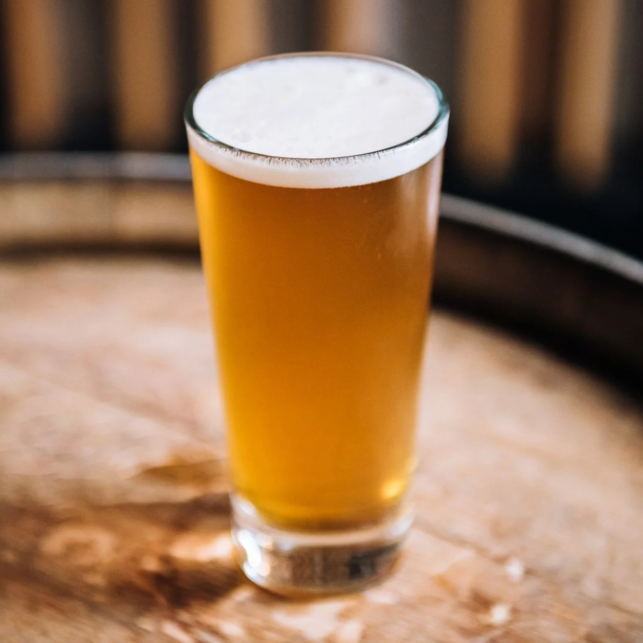Superdelic | West Coast IPA | BeerCo All Grain Brewers Recipe Kit - Image 5