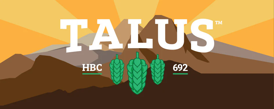 Talus™ HBC 692 US Hops - Image 6