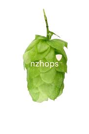Wai-iti™ NZ Hops - Image 6