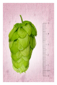 Wakatu™ NZ Hops - Image 7